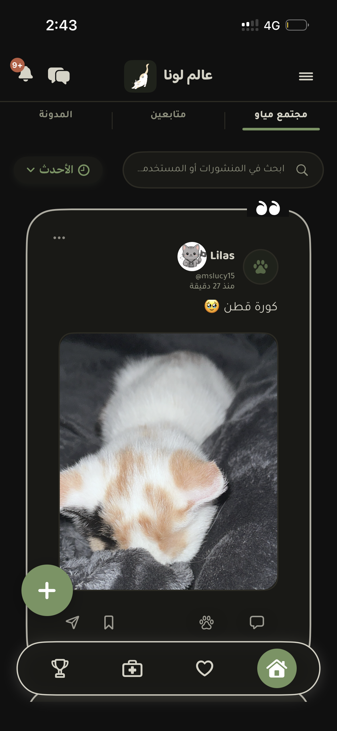 Luna's World — مجتمع مياو